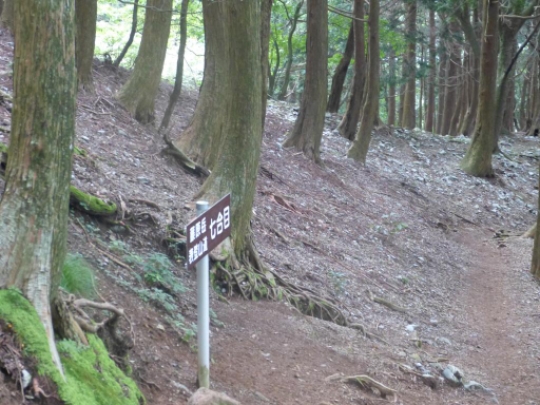 画像33